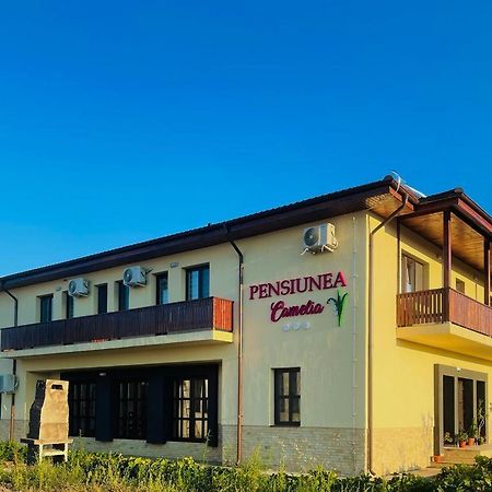 Pensiunea Camelia Baia エクステリア 写真