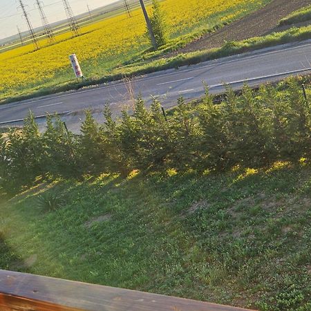 Pensiunea Camelia Baia エクステリア 写真