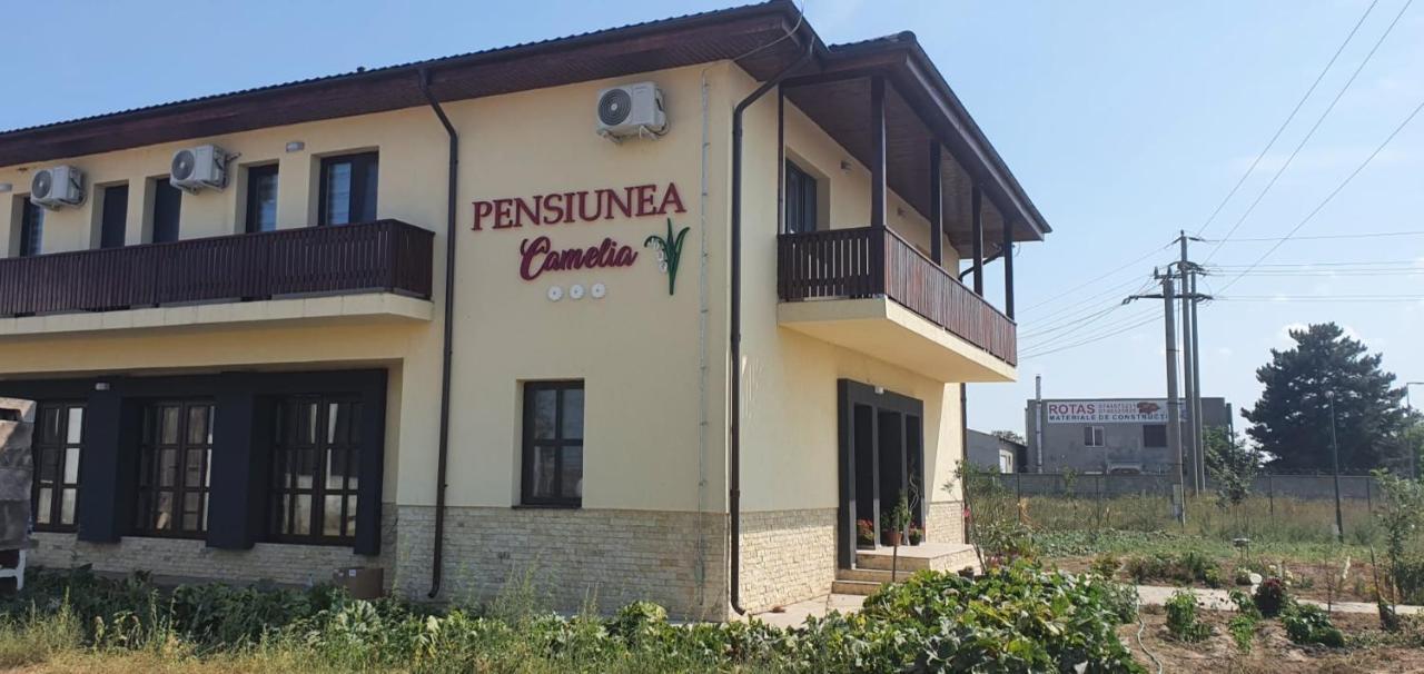 Pensiunea Camelia Baia エクステリア 写真