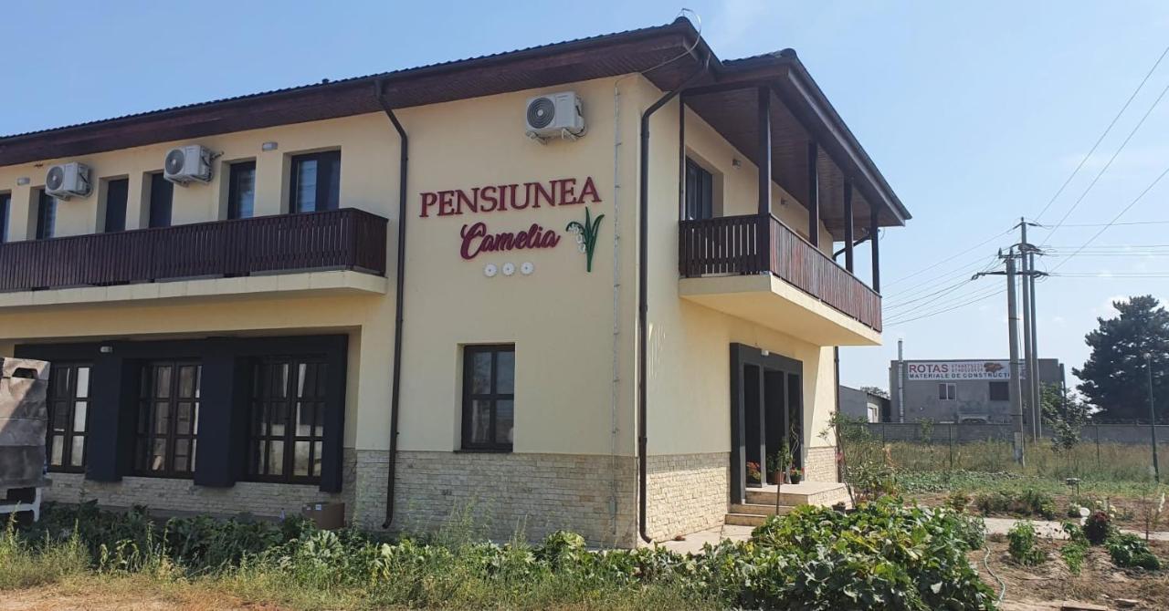 Pensiunea Camelia Baia エクステリア 写真
