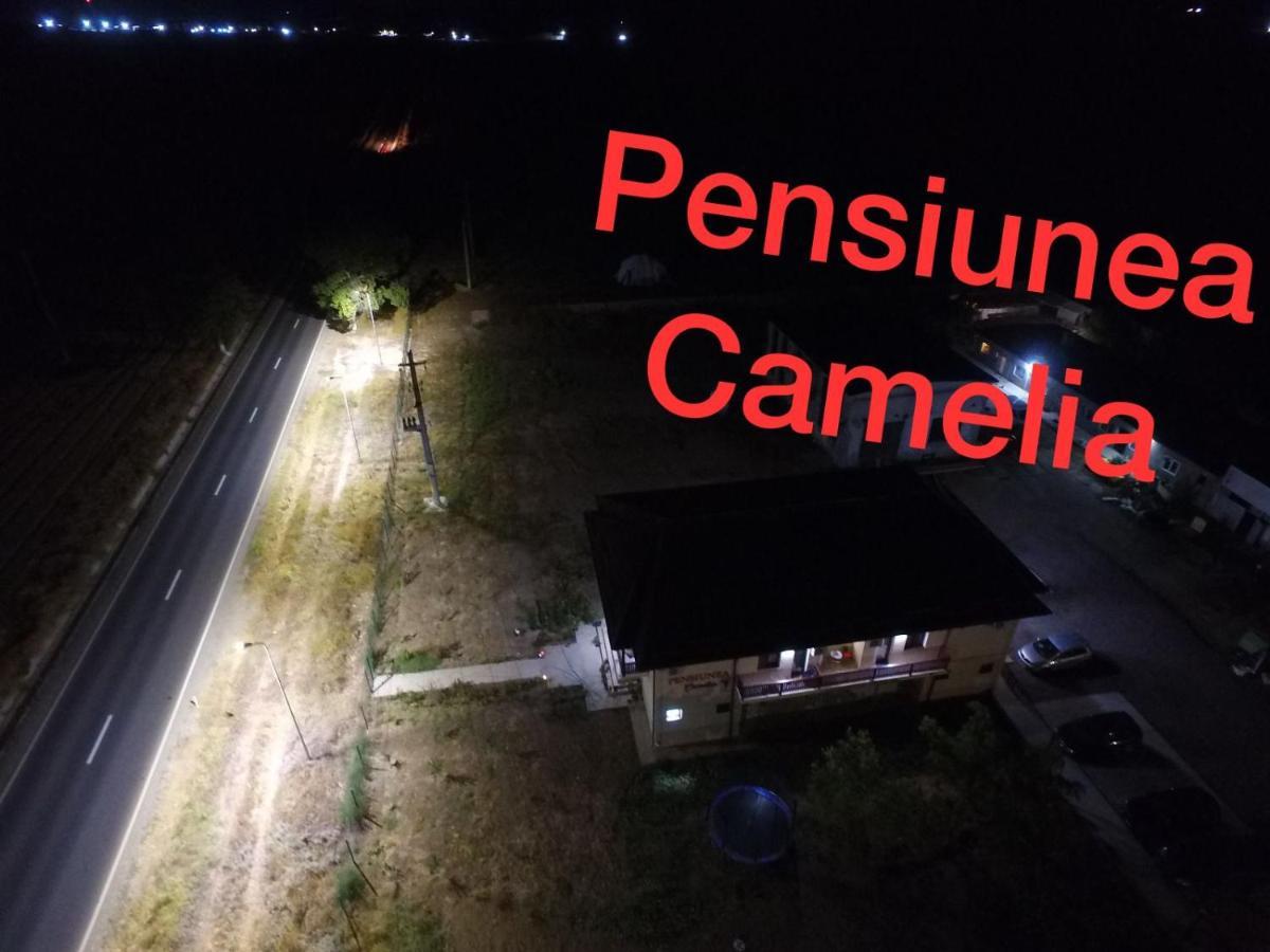 Pensiunea Camelia Baia エクステリア 写真