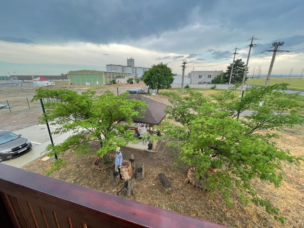 Pensiunea Camelia Baia エクステリア 写真